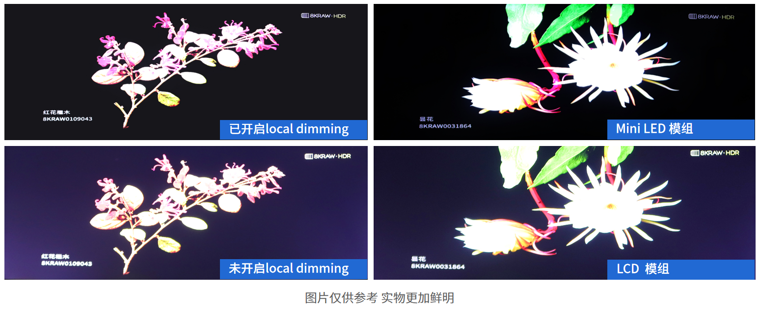 Mini LED方案 Mini LED方案